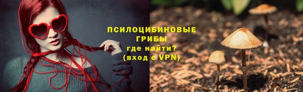 ГАЛЛЮЦИНОГЕННЫЕ ГРИБЫ Горнозаводск