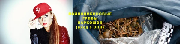 герыч Майский