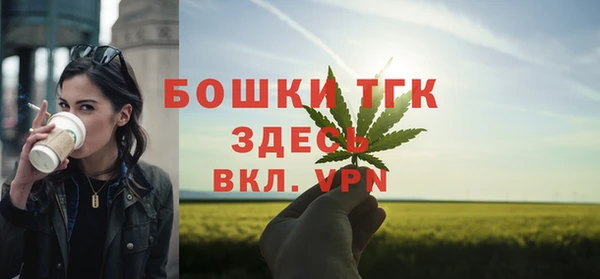гидра Горняк