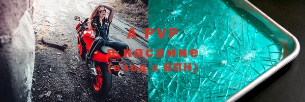 гидра Горняк