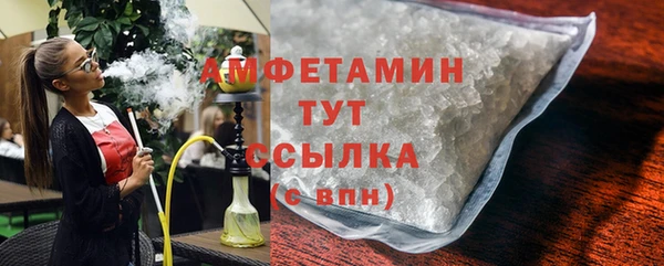 сатива Елабуга