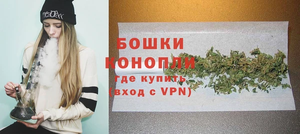 гидра Горняк