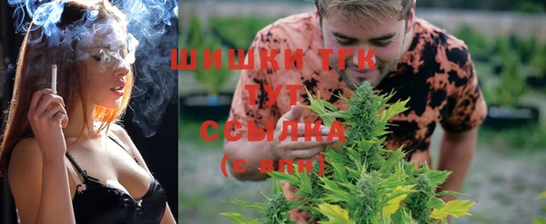 ГАЛЛЮЦИНОГЕННЫЕ ГРИБЫ Ельня