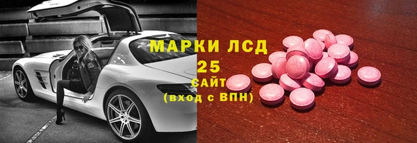 ГАЛЛЮЦИНОГЕННЫЕ ГРИБЫ Ельня