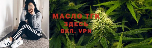 гидра Горняк