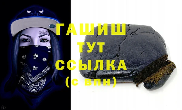 гидра Горняк