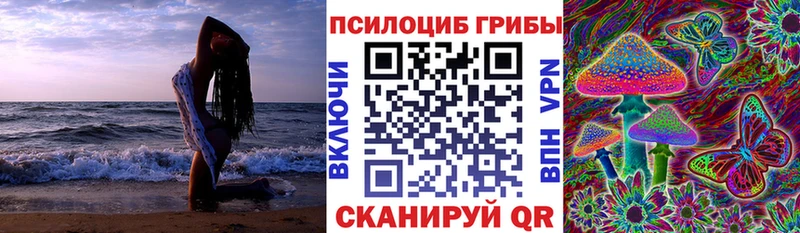 купить наркоту  Буй  Галлюциногенные грибы прущие грибы 